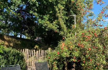 Nibelungen Odenwaldhaus - Foto 67