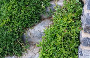 Rodakino Βay - Photo 29