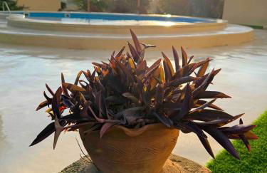 Finca La Preciosa - Photo 11