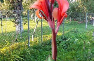 Studio apartman CENTAR - Foto 37