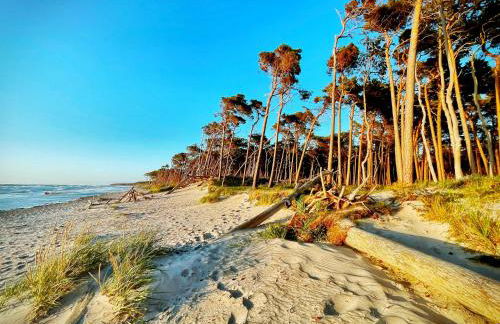 Sonnenblumenhaus 01 - Foto 26