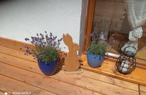 Apartamenty Sowianka - Foto 41