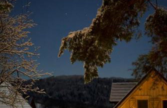 Jurkowa Wola - Foto 11