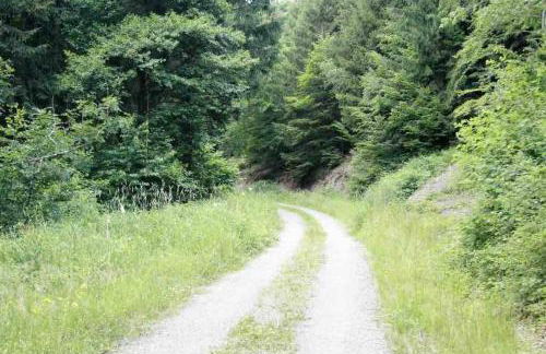 Ferienhaus Ackerbürgerhof in der Welterbestadt Quedlinburg - Foto 18