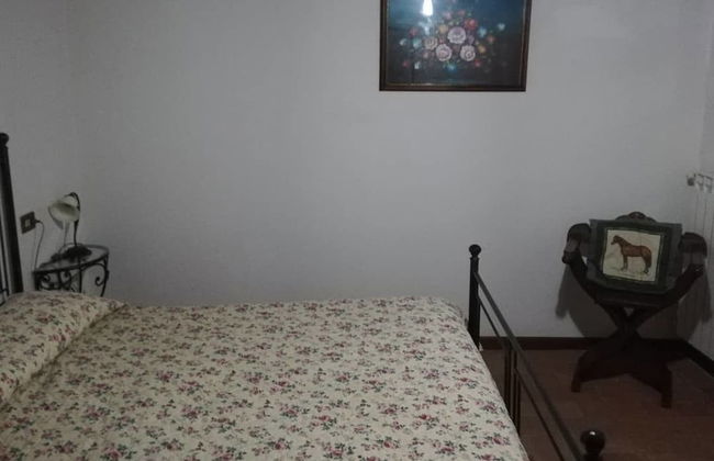 Agriturismo Sinciano - Foto 3