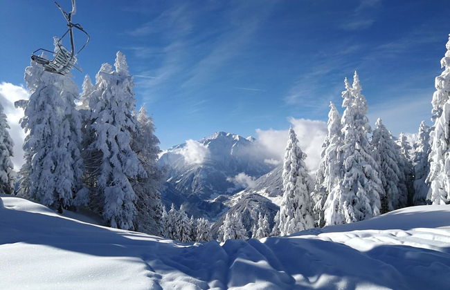 Apartment in Hippach Near Mayrhofen Ski Area - Foto 28