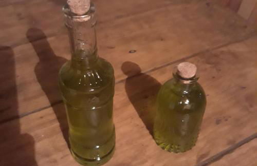 Comenda da Povoa - Foto 36