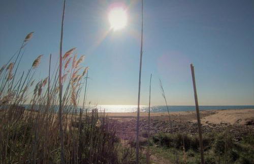 Appartement Chiola-Plage à pieds-clim - Foto 14