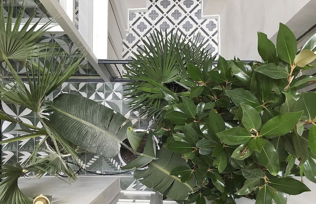 Casa Timoteo - Photo 68