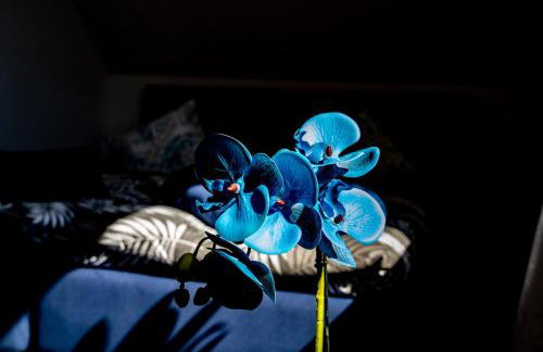 Dom w Karkonoszach 2 - Foto 22