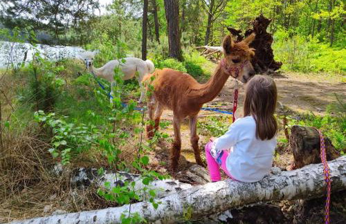 YACHT CLUB WEJSUNY - Foto 38