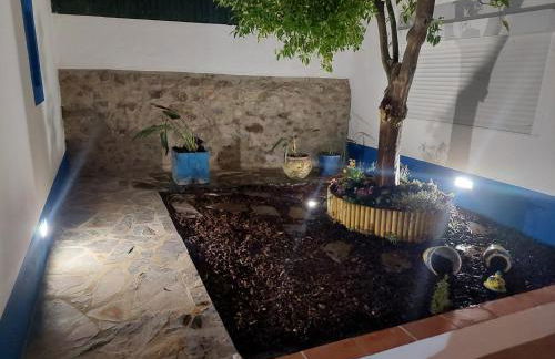 Casa do Cabeço - Termas da Sulfúrea - Foto 37