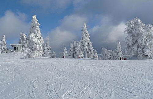 Pfenniggeiger-Hütte - Foto 18