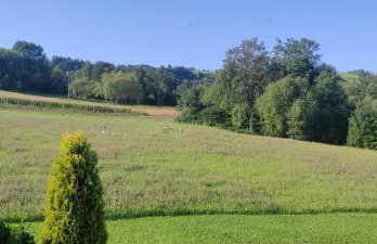 Korzenny Domek - Foto 38