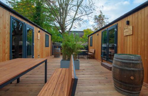 Iguana - Das Tiny Haus am Reptilienzoo Reptilium - Foto 32