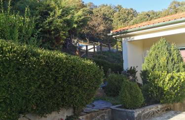 Alojamento Local Madre de Cima - Foto 50