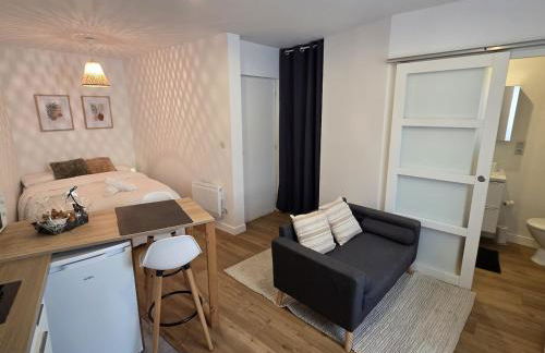 Le Timon - large studio avec Wi-Fi - Foto 17