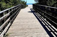 La finestra blu - Foto 15