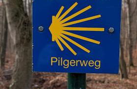 Barrierefrei - Privatparkplatz - zentral im Grünen - Foto 22