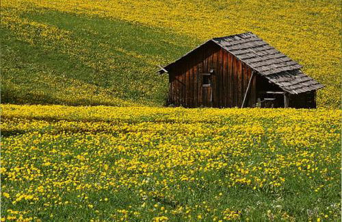 Al Cargá San Vigilio di Marebbe - Foto 9