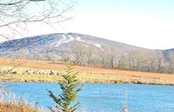 Panorama Point - Sauna, hot tub, theater room - Photo 24