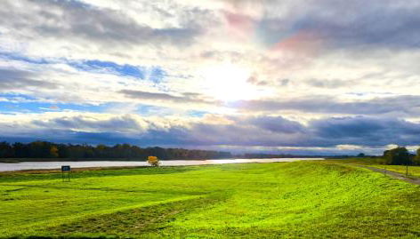 FeWo Elbtalaue II - Foto 5