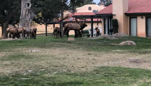 Beautiful Mountain Home - Photo 4