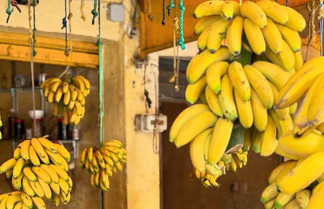 Timlaline Dunes Day Trip + Quad or Sandboarding - Foto 7