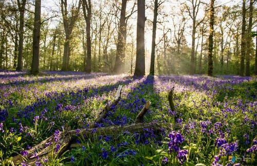 Fisherman's Cottage - Foto 29