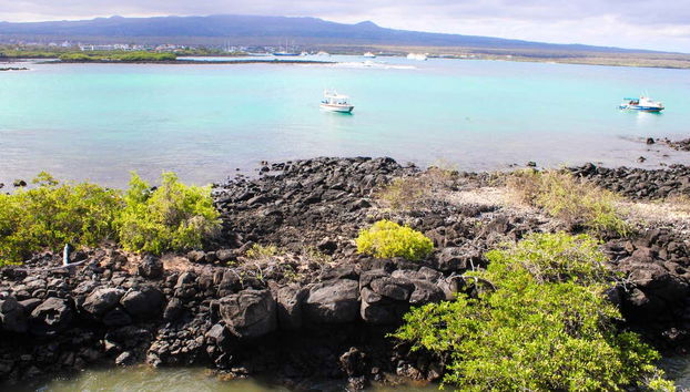 Un des arrêts de la visite