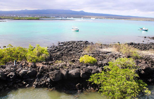 Santa Cruz Island Boat Tour - Photo 4