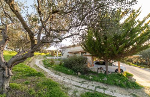 Villa Vitsilias under the cretan sky - Photo 34