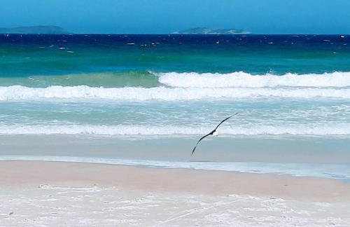 Suites PRISCO BEACH - Foto 29