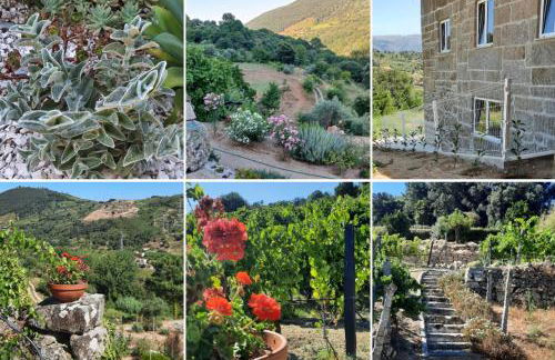 Bosque da Fantasia - Foto 13