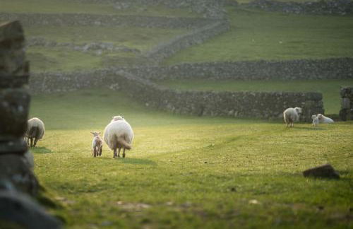 Deer-Park-Lodge - Foto 26