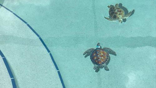 Little Piece Of Heaven, on the river - Foto 3