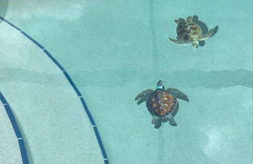 Little Piece Of Heaven, on the river - Foto 3