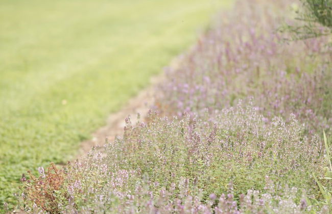 Luxury Waterfront Self-Catering Cabins - Photo 62