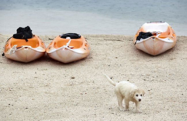 Karvouno Villas - Foto 64