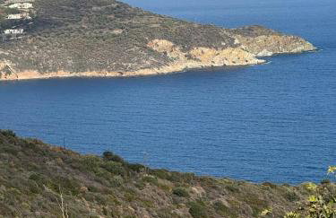 Papous house - Foto 13