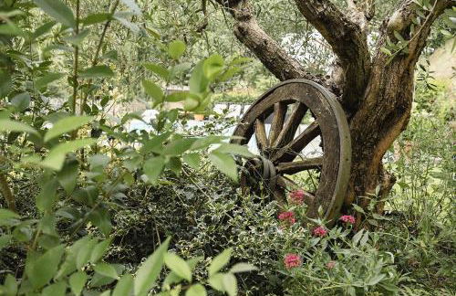 Agriturismo L'Essiccatoio - Foto 60