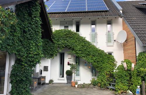 Küken Winterberg - Foto 41