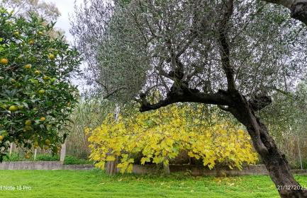 Rizaki Cottage in Nafpaktos - Foto 25