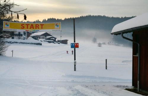 STYLE Studio im Bayerischen Wald POOL SAUNA NETFLIX - Foto 11