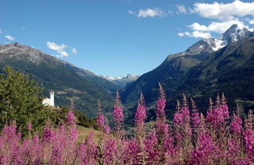 Résidence Le Tyrol - Foto 61