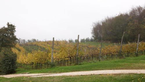 Agriturismo Marani - Foto 4