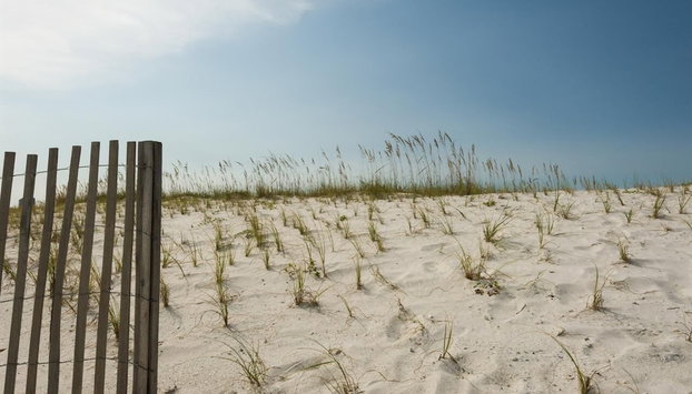 Blue Skye - Foto 2, Imagen principal