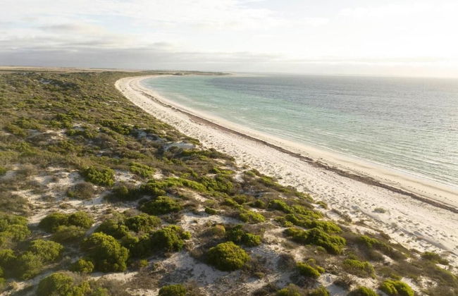 BIG4 Port Hughes Holiday Park - Foto 75