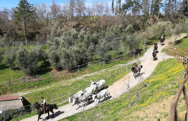 Agriturismo La Forra - Foto 41