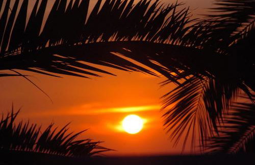 Apartments Plana, Zaostrog - Photo 59